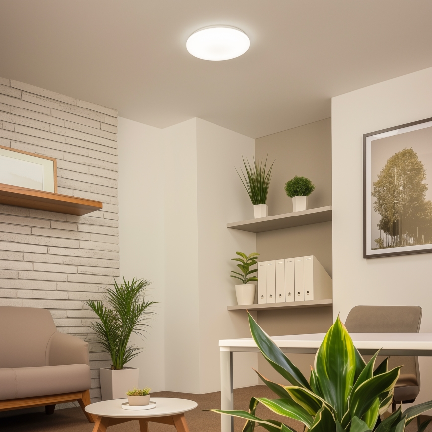 Brilagi - LED stropna svetilka OPAL LED/24W/230V