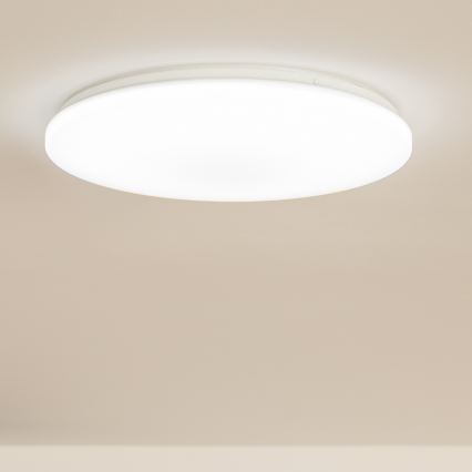 Brilagi - LED stropna svetilka OPAL LED/24W/230V