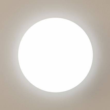 Brilagi - LED stropna svetilka OPAL LED/24W/230V