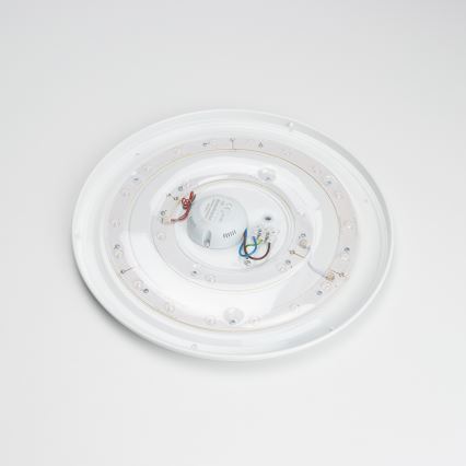 Brilagi - LED stropna svetilka OPAL LED/24W/230V
