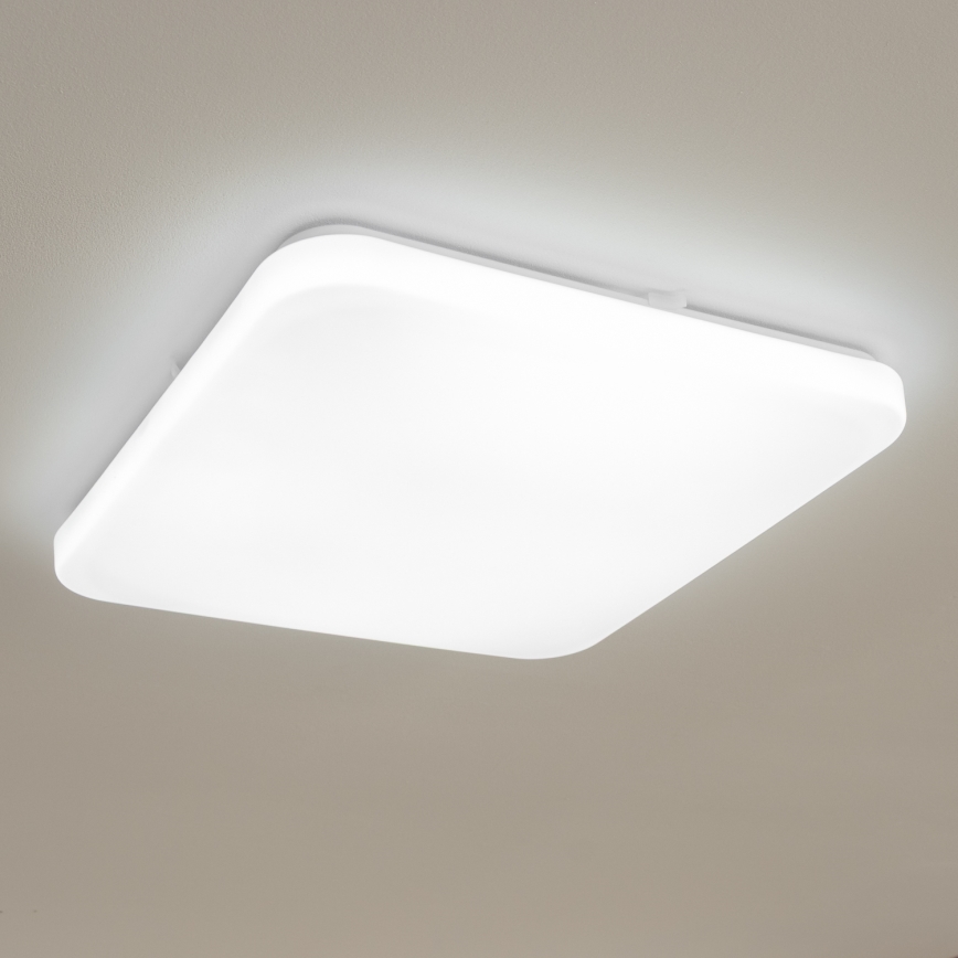 Brilagi - LED Stropna svetilka OPAL LED/24W/230V