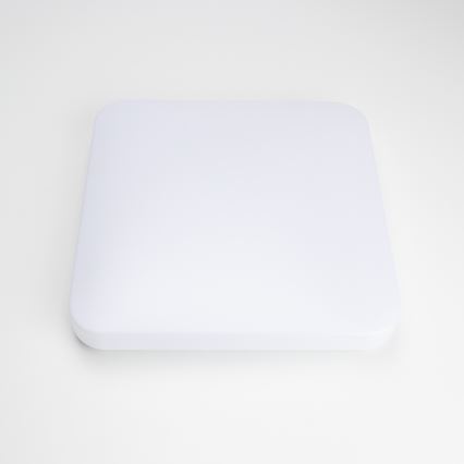 Brilagi - LED Stropna svetilka OPAL LED/24W/230V