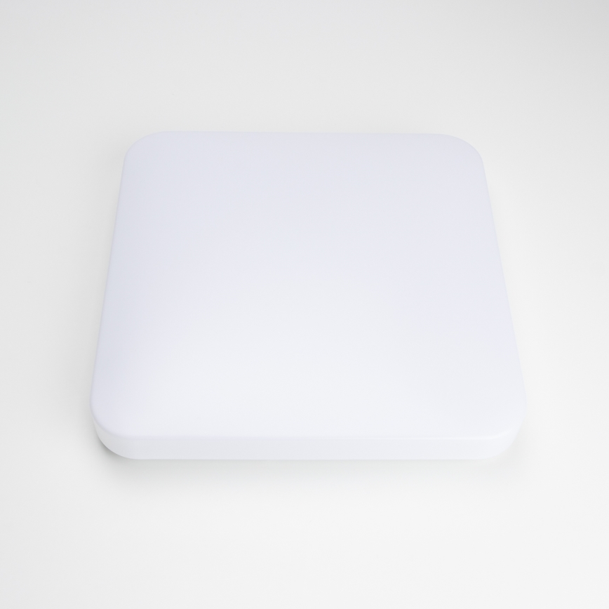 Brilagi - LED Stropna svetilka OPAL LED/24W/230V