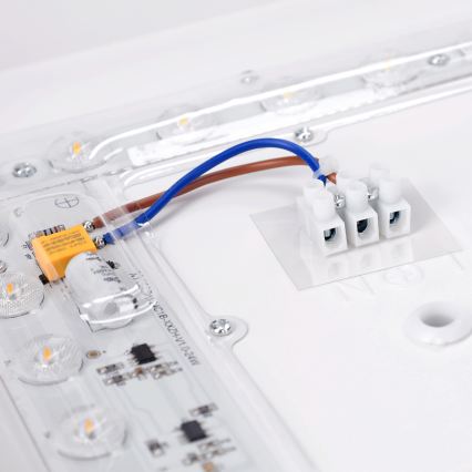 Brilagi - LED stropna svetilka PILANA LED/24W/230V hrast/črna 32x32 cm