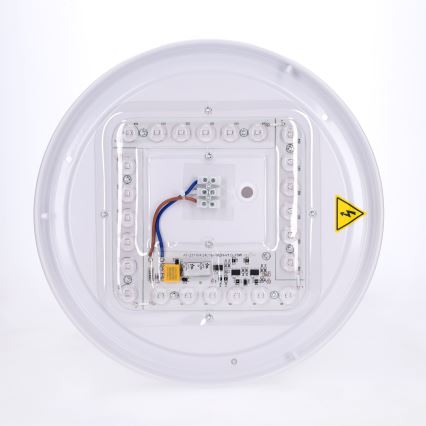 BRILAGI - LED stropna svetilka PILANA LED/24W/230V hrast/zlata, premer 30 cm