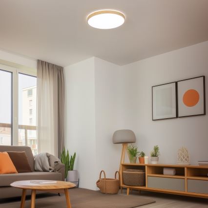 Brilagi - LED zatemnjiva stropna svetilka PINE LED/60W/230V premer 52 cm 3000-6500K + daljinski upravljalnik