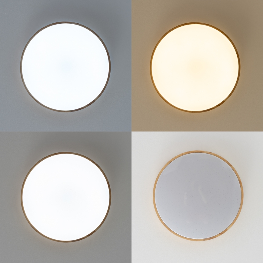 Brilagi - LED zatemnjiva stropna svetilka PINE LED/60W/230V premer 52 cm 3000-6500K + daljinski upravljalnik