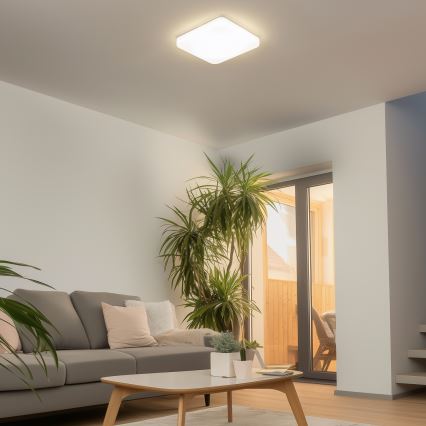 Brilagi - LED Stropna svetilka PLAIN LED/24W/230V 3000K