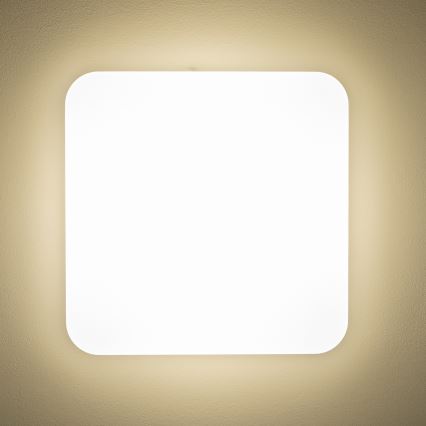 Brilagi - LED Stropna svetilka PLAIN LED/24W/230V 3000K