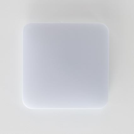 Brilagi - LED Stropna svetilka PLAIN LED/24W/230V 3000K