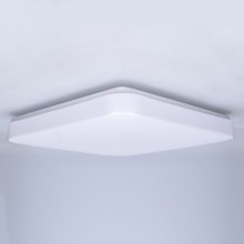 Brilagi - LED Stropna svetilka PLAIN LED/24W/230V