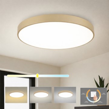Brilagi - LED stropna svetilka POOL LED/100W/230V 3000/4000/6000K premer 80 cm, bežna