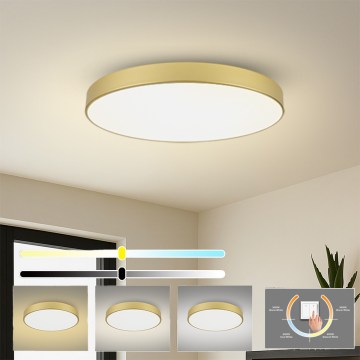 Brilagi - LED stropna svetilka POOL LED/128W/230V 3000/4000/6000K premer 100 cm zlata