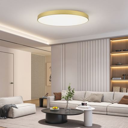 Brilagi - LED stropna svetilka POOL LED/180W/230V 3000/4500/6000K Ø 120 cm zlata