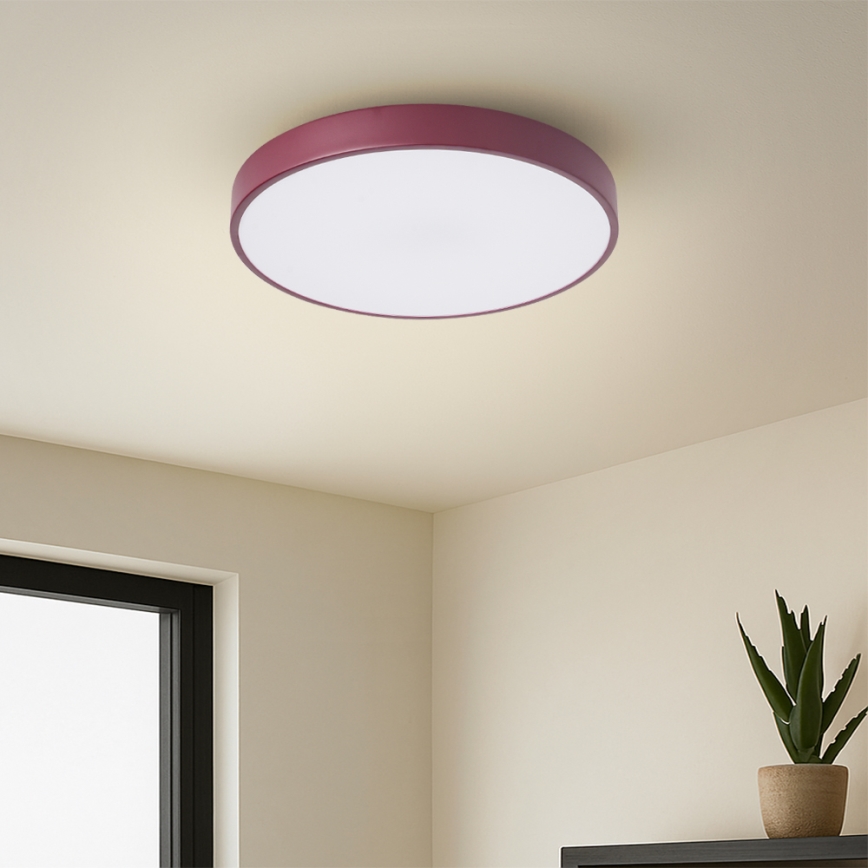 Brilagi - LED stropno svetilo POOL LED/36W/230V 3000/4000/6000K premer 30 cm bordo