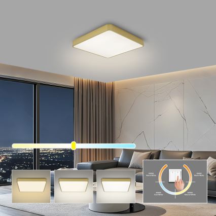 Brilagi - LED stropna svetilka POOL LED/36W/230V 3000/4000/6000K 40x40 cm zlata