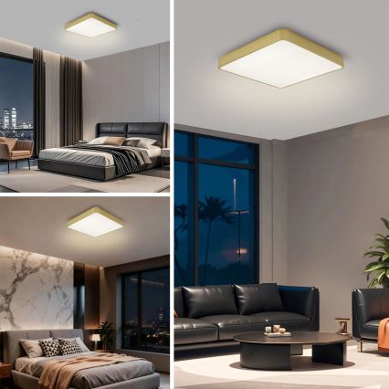 Brilagi - LED stropna svetilka POOL LED/36W/230V 3000/4000/6000K 40x40 cm zlata