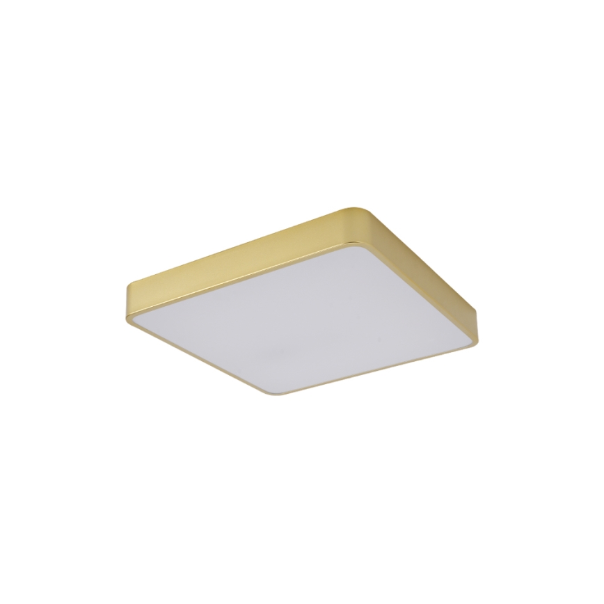 Brilagi - LED stropna svetilka POOL LED/36W/230V 3000/4000/6000K 40x40 cm zlata