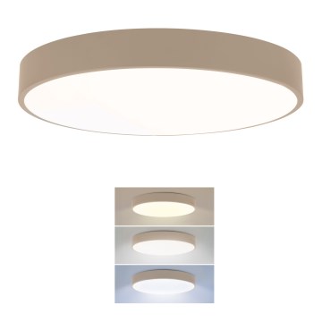 Brilagi - LED stropna svetilka POOL LED/36W/230V 3000/4000/6000K premer 30 cm bež
