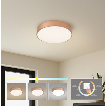 Brilagi - LED stropna svetilka POOL LED/36W/230V 3000/4000/6000K, premer 30 cm, bronasta