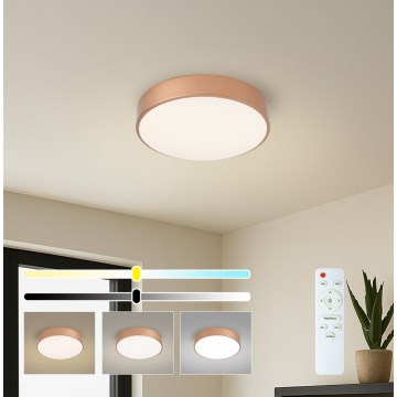 Brilagi - LED stropna svetilka POOL LED/36W/230V 3000-6000K, premera 30 cm, bronasta, z možnostjo zatemnitve + daljinski upravljalnik