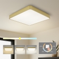 Brilagi - LED stropna svetilka POOL LED/48W/230V 3000/4000/6000K 50x50 cm zlata