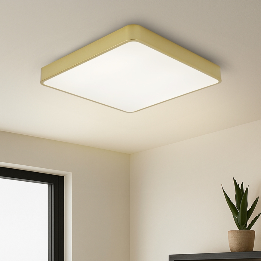 Brilagi - LED stropna svetilka POOL LED/48W/230V 3000/4000/6000K 50x50 cm zlata