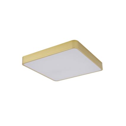 Brilagi - LED stropna svetilka POOL LED/48W/230V 3000/4000/6000K 50x50 cm zlata