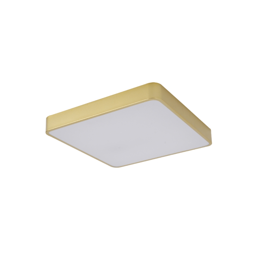 Brilagi - LED stropna svetilka POOL LED/48W/230V 3000/4000/6000K 50x50 cm zlata
