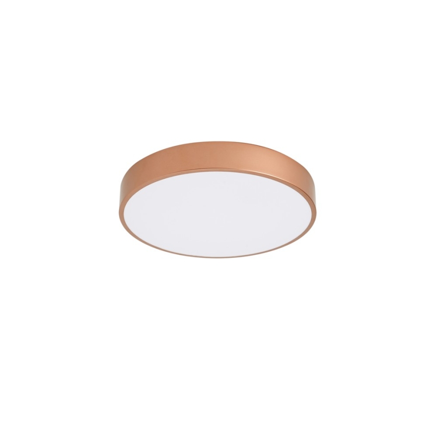 BRILAGI - LED stropna svetilka POOL LED/48W/230V 3000/4000/6000K premer 40 cm bakrena