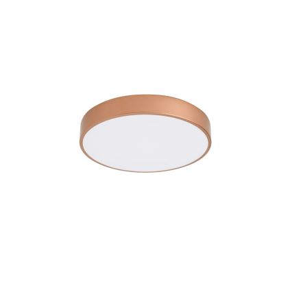 Brilagi - LED Stropna svetilka POOL LED/48W/230V 3000/4000/6000K premer 40 cm bronasta