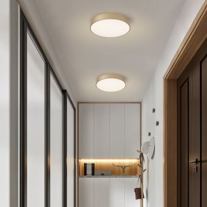 Brilagi - LED stropna svetilka POOL LED/48W/230V 3000/4000/6000K, premer 40 cm, zlata