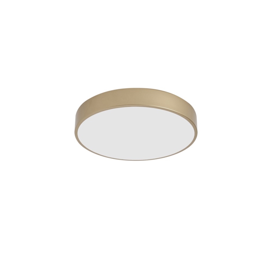 Brilagi - LED stropna svetilka POOL LED/48W/230V 3000/4000/6000K, premer 40 cm, zlata