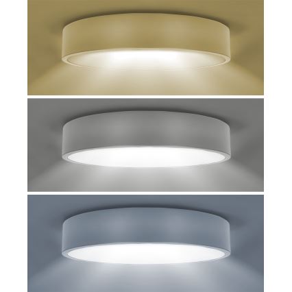Brilagi - LED stropna svetilka POOL LED/60W/230V 3000/4000/6000K 50 cm bela