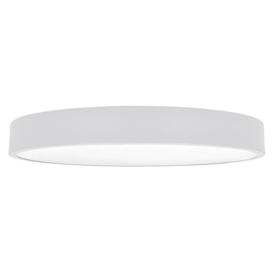 Brilagi - LED stropna svetilka POOL LED/60W/230V 3000/4000/6000K 50 cm bela