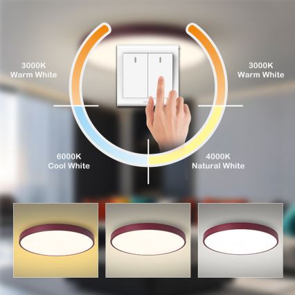 Brilagi - LED stropno svetilo POOL LED/60W/230V 3000/4000/6000K premer 60 cm bordo