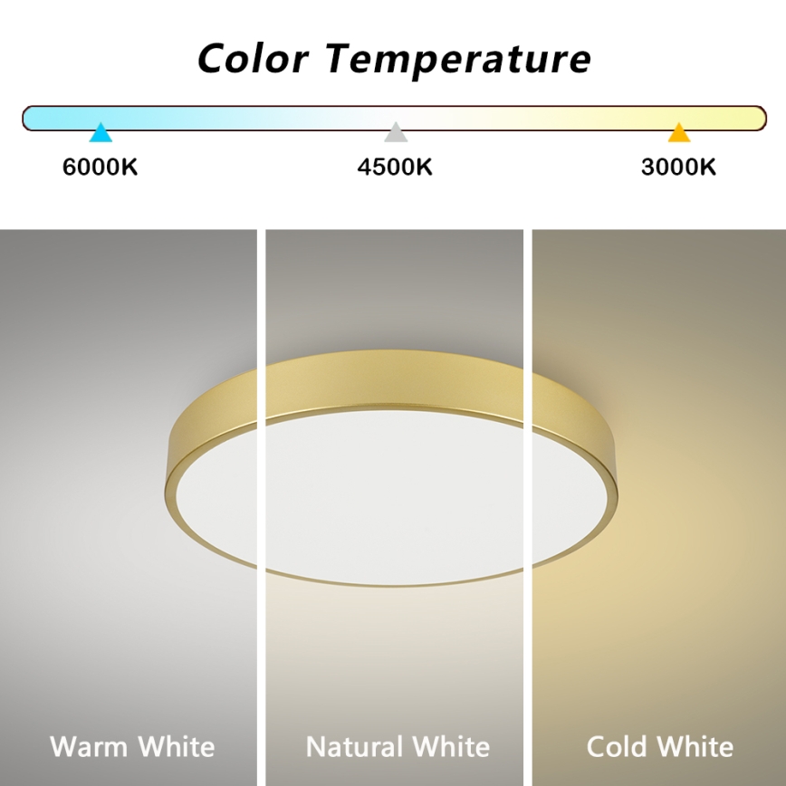 Brilagi - LED stropna svetilka POOL LED/60W/230V 3000/4500/6000K, premer 60 cm, zlata
