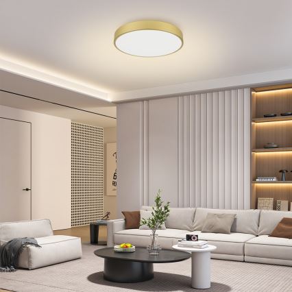 Brilagi - LED stropna svetilka POOL LED/60W/230V 3000/4500/6000K, premer 60 cm, zlata