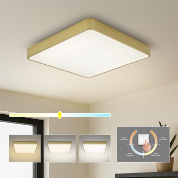Brilagi - LED stropna svetilka POOL SQUARE LED/36W/230V 3000/4000/6000K 40x40 cm zlata
