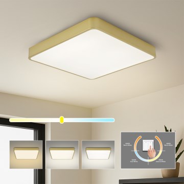 Brilagi - LED stropna svetilka POOL SQUARE LED/48W/230V 3000/4000/6000K 50x50 cm zlata