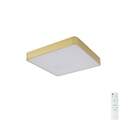 Brilagi - LED zatemnljivo stropno svetilo POOL SQUARE LED/36W/230V 3000-6000K 40x40 cm zlato + daljinski upravljalnik
