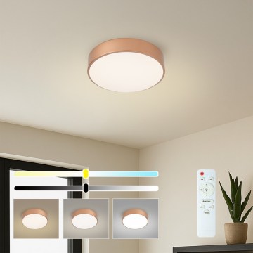 Brilagi - LED stropna svetilka POOL z možnostjo zatemnitve LED/24W/230V 3000-6000K premer 20 cm bronasta + daljinski upravljalnik