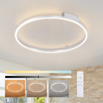 Brilagi - LED stropna svetilka PORTOFINO z možnostjo zatemnitve LED/60W/230V 3000-6000K premer 80 cm srebrna + daljinski upravljalnik
