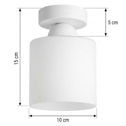 BRILAGI - LED stropna svetilka RETRO GLASS 1xE27/60W/230V, premer 10 cm, bela