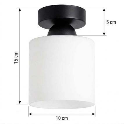 BRILAGI - LED stropna svetilka RETRO GLASS 1xE27/60W/230V premer 10 cm črna/bela