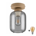BRILAGI - LED stropna svetilka RETRO GLASS 1xE27/60W/230V, premer 14 cm, bež/dimno siva