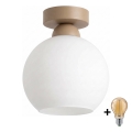 BRILAGI - LED stropna svetilka RETRO GLASS 1xE27/60W/230V premer 15 cm bežna/bela