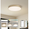 Brilagi - LED stropna svetilka s funkcijo zatemnitve POOL SMART LED/60W/230V 3000-6000K premer 50 cm Wi-Fi Tuya zlata + daljinski upravljalnik