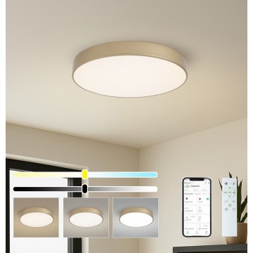 Brilagi - LED stropna svetilka s funkcijo zatemnitve POOL SMART LED/60W/230V 3000-6000K premer 50 cm Wi-Fi Tuya zlata + daljinski upravljalnik