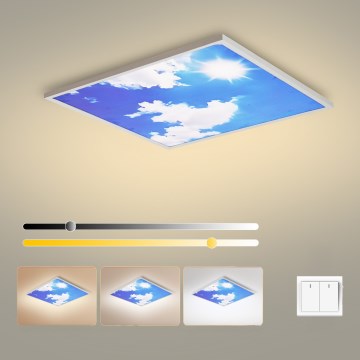 Brilagi - LED stropna svetilka SLIMFRAME LED/58W/230V 60x60 cm srebrna/modra